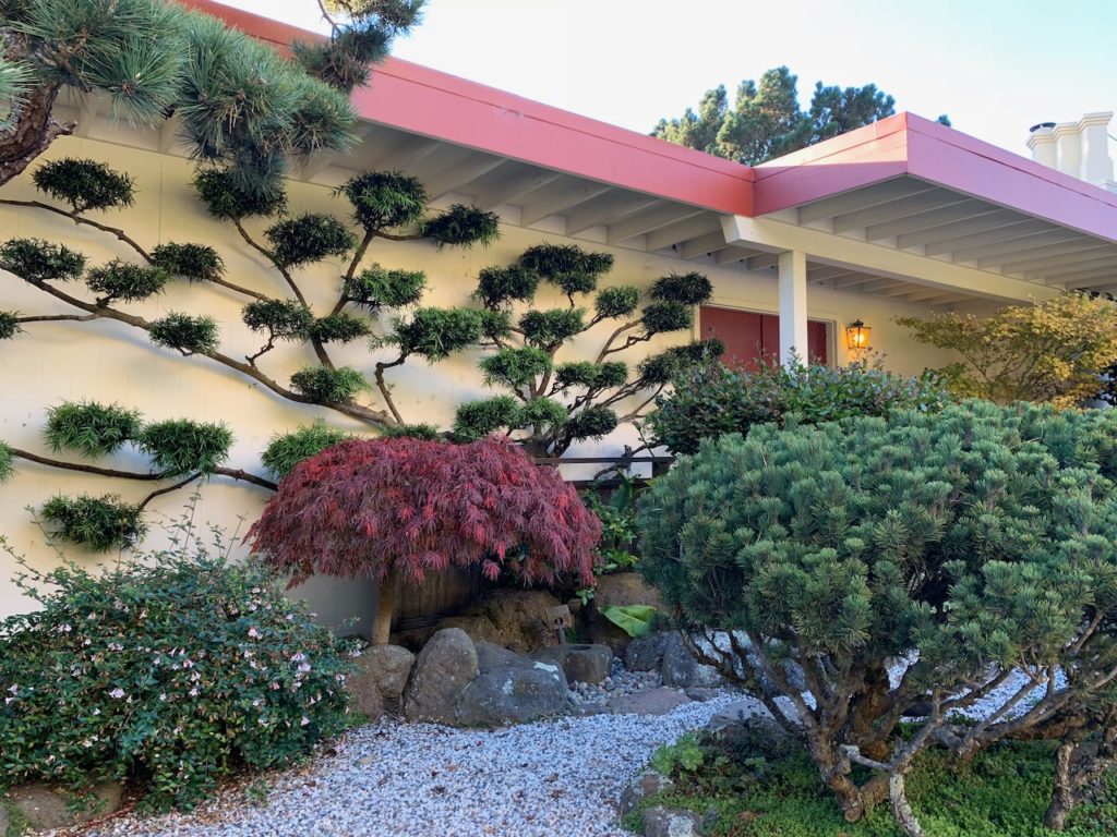 Mid-century Modern Homes of San Francisco