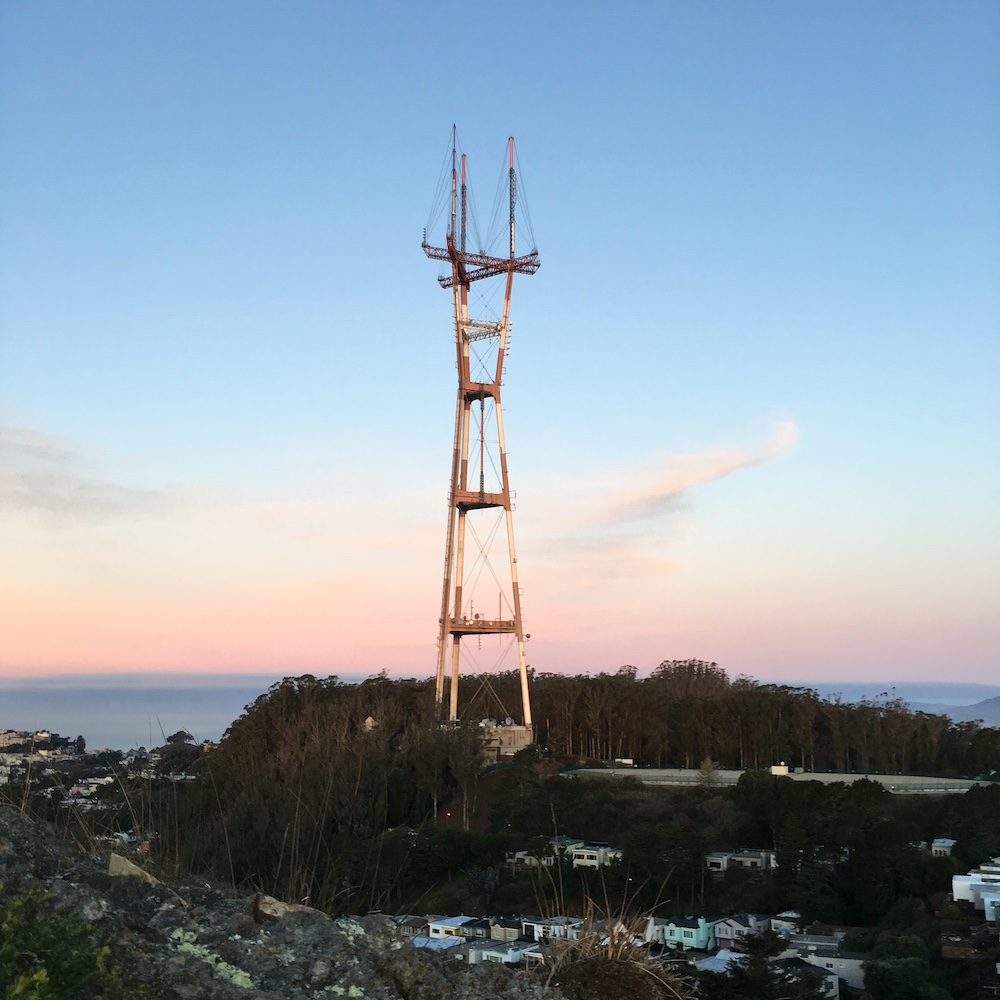 SF Skyline Unrepresented buyer in California San Franciso